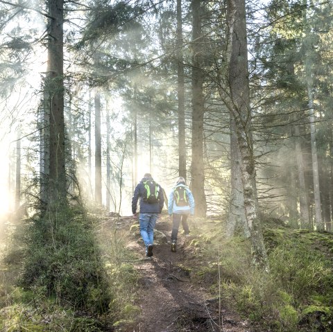 Weserbachtal , © Dominik Ketz, Eifel Touristik GmbH 