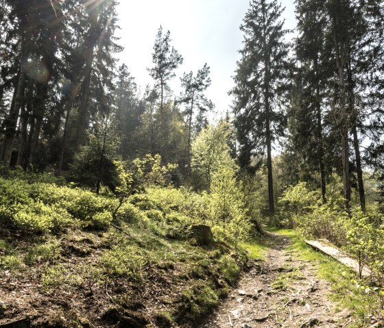 Belgenbachtal, © StädteRegion Aachen