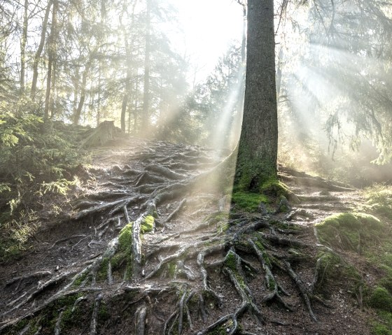 Wesertal bei Roetgen, © StädteRegion Aachen