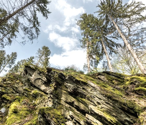 Im Belgenbachtal, © Grünmetropole e.V.