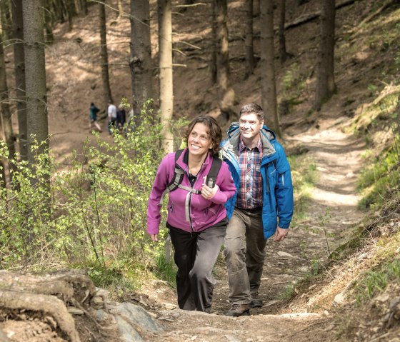 Partnerweg des Eifelsteigs  - Klosterroute, © Grünmetropole e.V.