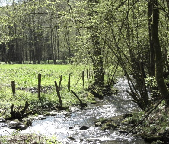 Tiefenbachtal, © StädteRegion Aachen