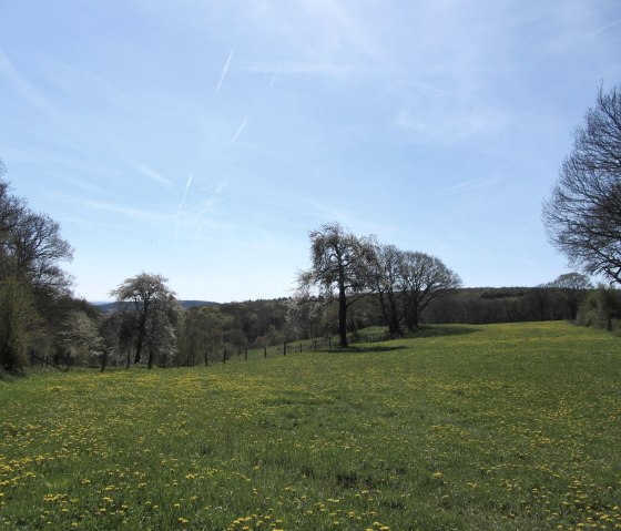 Wiesenlandschaft Eifel, © StädteRegion Aachen