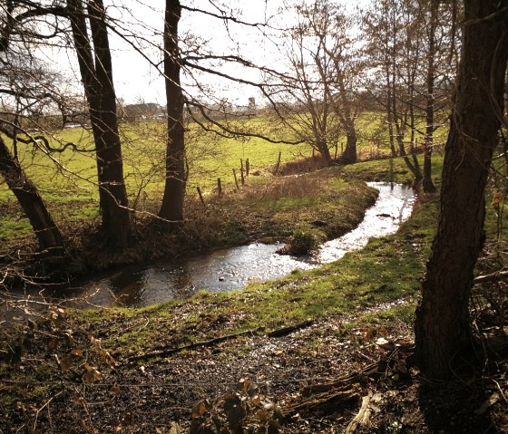 Middle reaches of the Omerbach, © NaturFreunde NRW