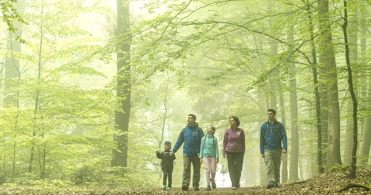 Wanderer im Aachener Wald, © StädteRegion Aachen