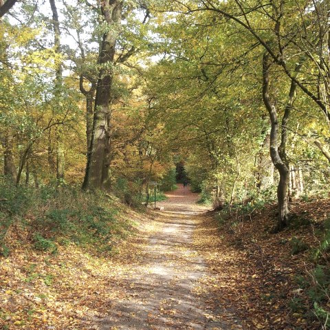 Wanderweg im Wurmtal, © Stadt Würselen