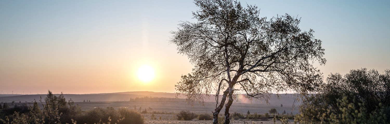 Hohes Venn - Abendstimmung, © Dennis Stratmann