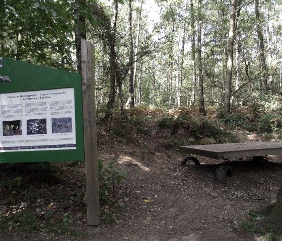 Station 7: Natur im Gleichgewicht, © Stadt Aachen FB 36