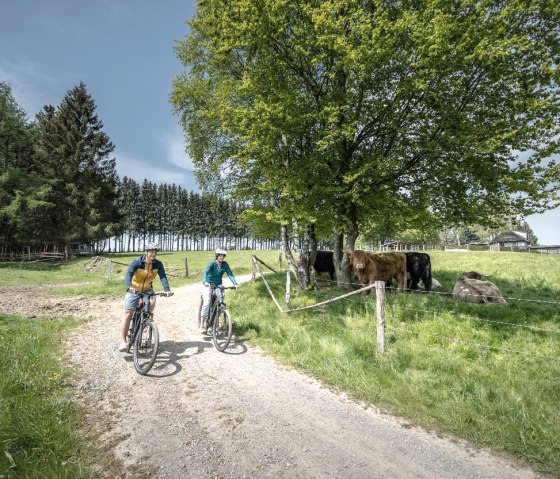 Eifellandschaft bei Kalterherberg, © Eifel Tourismus GmbH