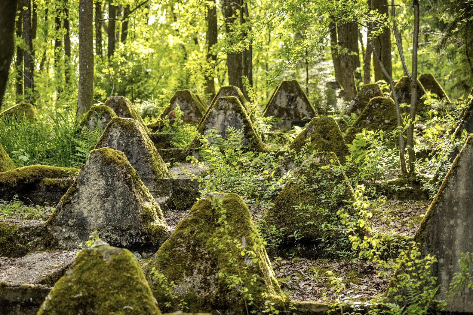 Westwall bei Roetgen, © Eifel Tourismus GmbH; Foto: Dominik Ketz