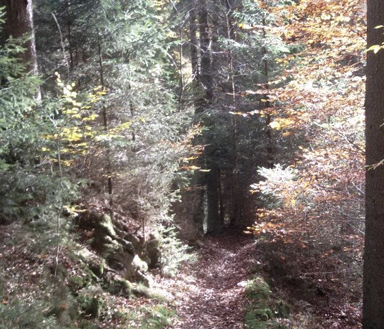 Belgenbachtal bei Imgenbroich, © StädteRegion Aachen