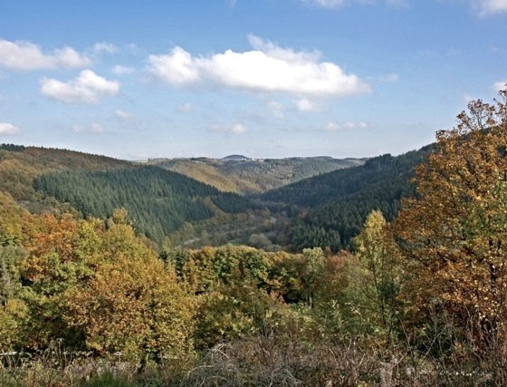 Kalltal-Route - Durchs Kalltal bis zur Rur, © Rureifel Tourismus e.V.