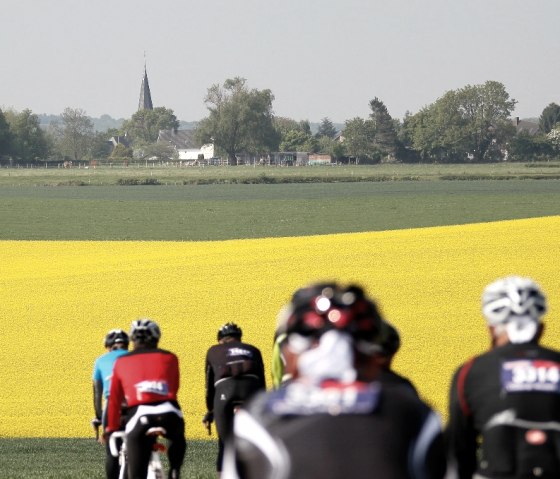 Amstel Gold Race-route, © Visit Zuid Limburg