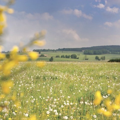 Weite Aussichten, © Unbekannt