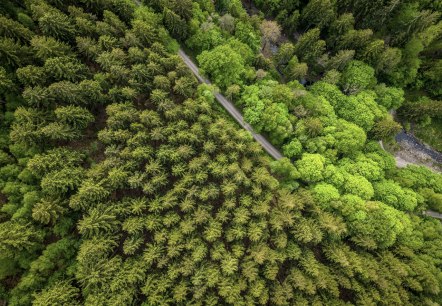 Kalltalsperre, © StädteRegion Aachen