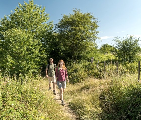 Imstenraderbos, © Grünmetropole e.V.