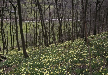 Tal der Blumen, © Tourismusagentur Ostbelgien