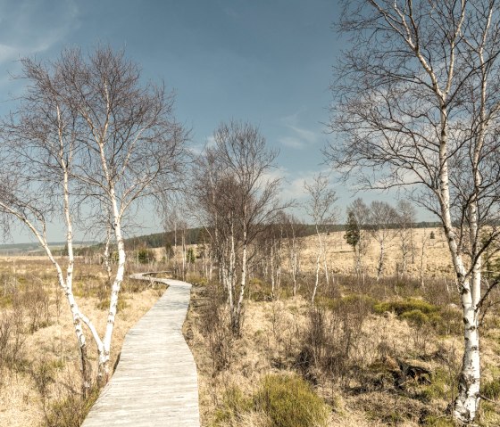 Steg im Hohen Venn, © StädteRegion Aachen