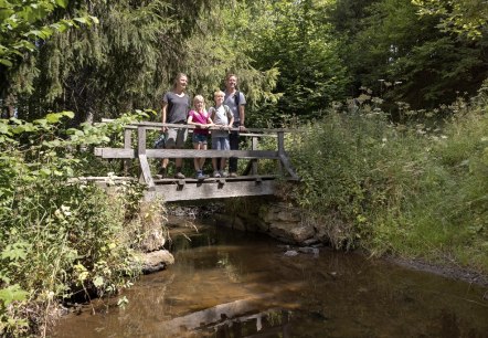 Brücke am Kaiser Karl Weg, © Eifel Tourismus GmbH