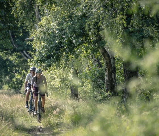 Gravelbiker im Würselner Wald, © StädteRegion Aachen