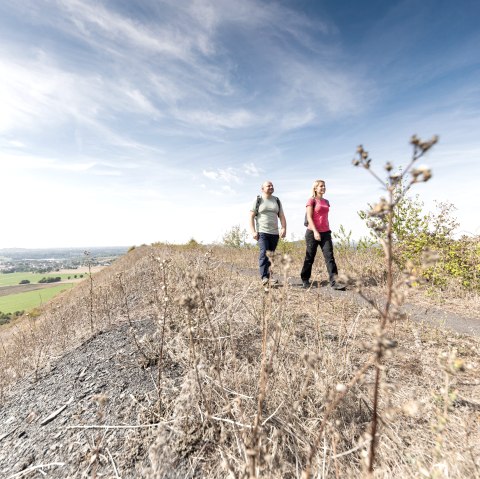 Halde Noppenberg, © StädteRegion Aachen; Foto: Anton Röser