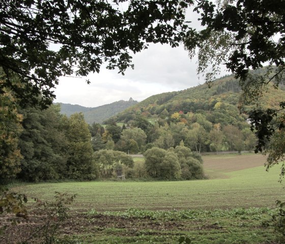 Distant view of Nideggen Castle, © StädteRegion Aachen