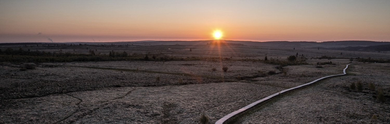 Hohes Venn - Abendstimmung, © Dennis Stratmann