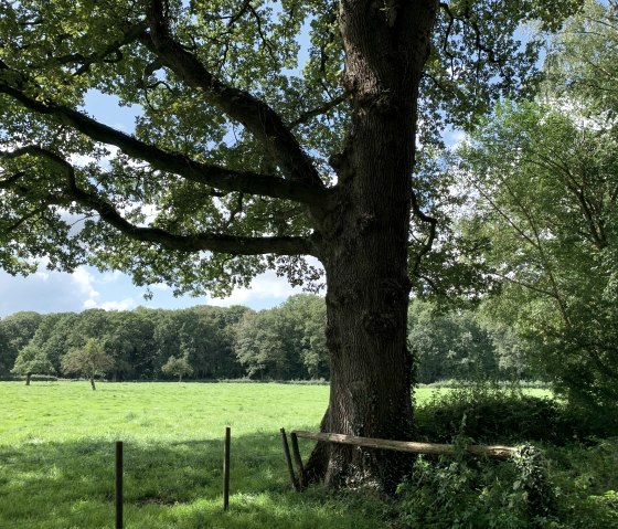 Waldhausen, © StädteRegion Aachen