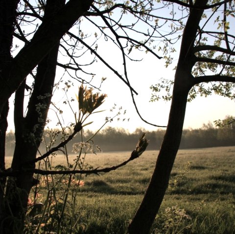 Soers bei Aachen, © StädteRegion Aachen