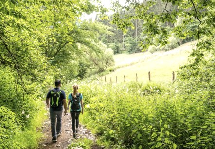 Tiefenbachtal, © Eifel Tourismus GmbH