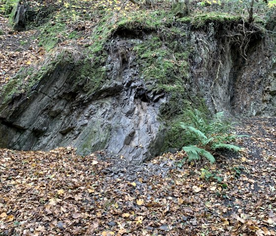 Kohleaufschluss, © StädteRegion Aachen