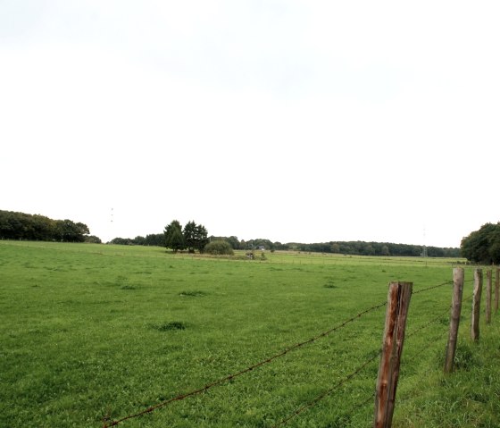 Weiden vor Scheidbaum, © DAV Sektion Rheinland-Köln