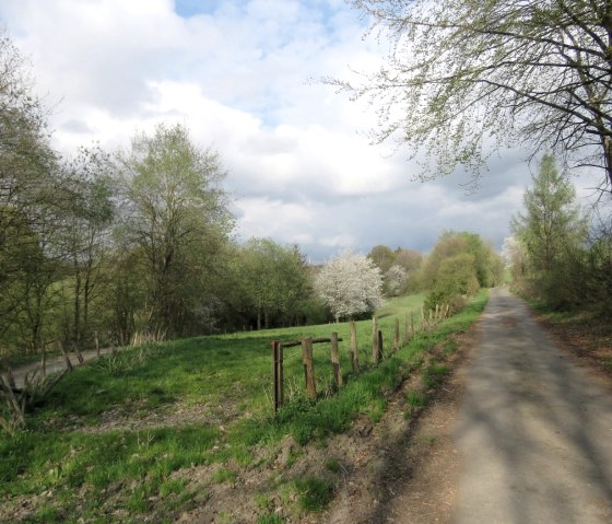 Ausblick entlang des Weges, © StädteRegion Aachen