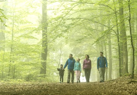 Wanderer im Aachener Wald, © StädteRegion Aachen