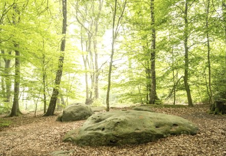 Zyklopensteine, © StädteRegion Aachen