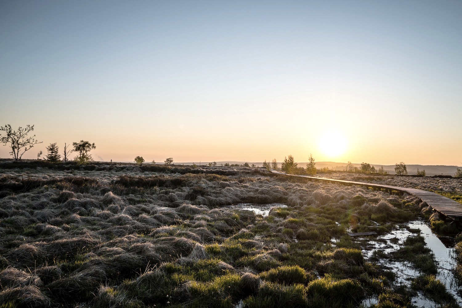 Hohes Venn - Abendstimmung, © Dennis Stratmann