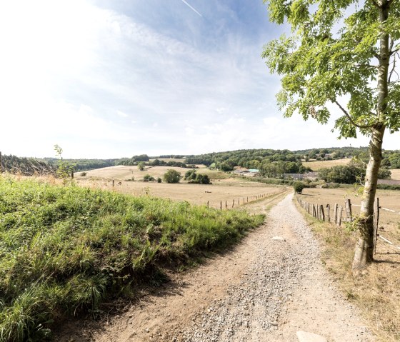 Wanderweg Grenzroute, © Eifel Tourismus GmbH