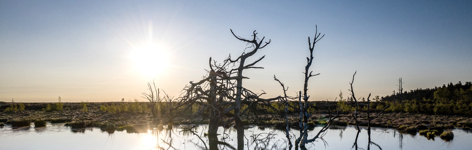 Hohes Venn - Abendstimmung, © Dennis Stratmann