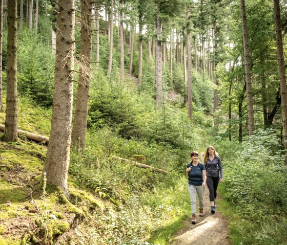 Eifelsteig zur Uhusley, © StädteRegion Aachen