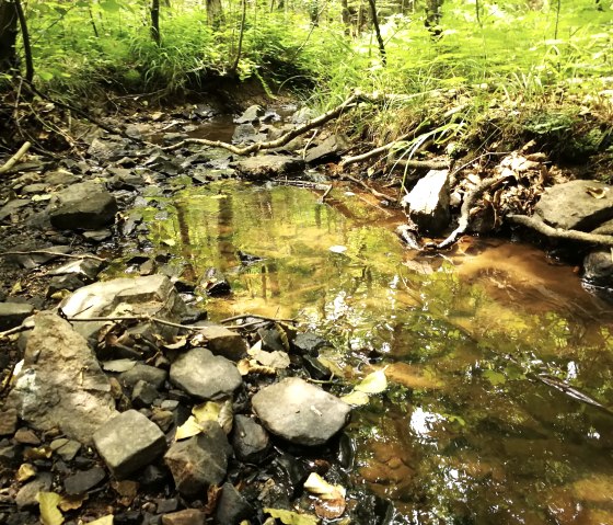 Oberlauf Omerbach (Gressenich), © NaturFreunde NRW