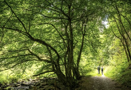 Tiefenbachtal, © Eifel Tourismus GmbH