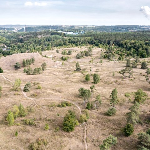 Naturschutzgebiet Schlangenberg, © Eifel Tourismus GmbH