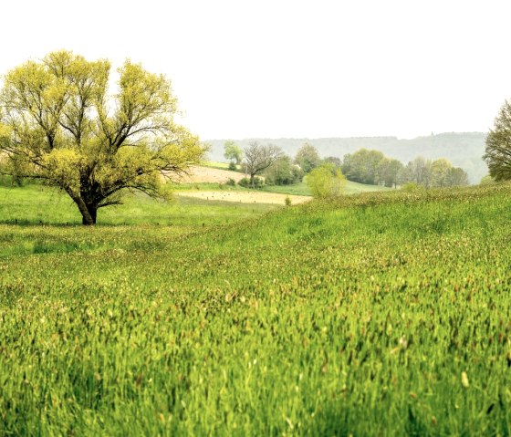 Fernblick ins Heuvelland bei Hombourg, © StädteRegion Aachen