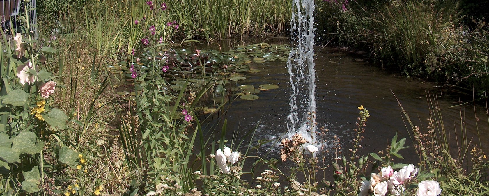 Small pond landscape in the middle of Imgenbroich, © Monschau-Touristik