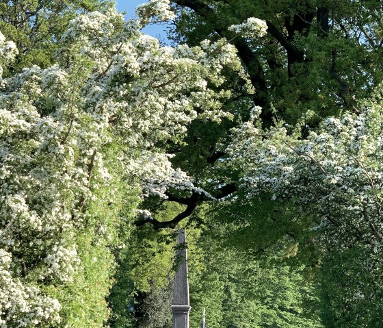 Blick auf den Obelisken, © StädteRegion Aachen