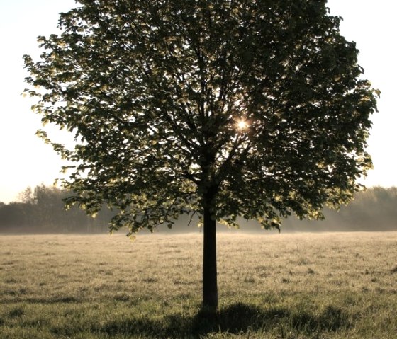 Naturlandschaft Soers, © StädteRegion Aachen