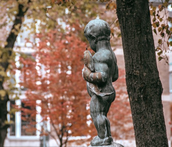 Fish puddles in the fall, © aachen tourist service e.v. / Strunk