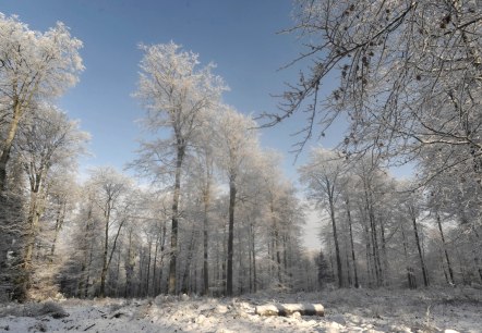 Weißer Zauber, © Tourismusagentur Ostbelgien