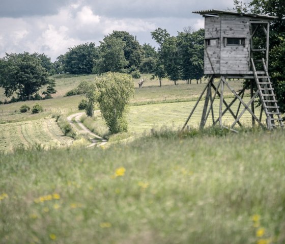 Runde 9 - Graveln mit Aussicht – Dein Ride entlang des Rursees, © StädteRegion Aachen