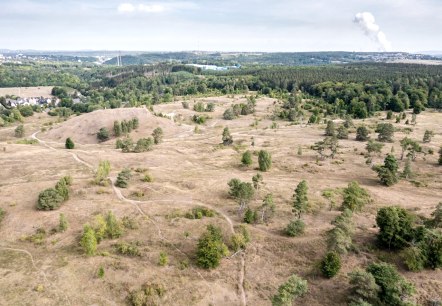 Naturschutzgebiet Schlangenberg, © Eifel Tourismus GmbH